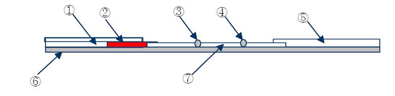 검사용 스트립의 구성. ①, 검체 패드 (sample pad); ②, 축합 패드 (conjugate pad); ③, 검사선 (test line,