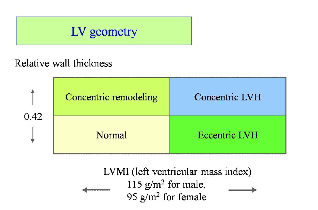 좌심실 비대와 좌심실 모양에 의한 geometry의 분류