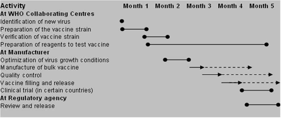 신종인플루엔자 백신 생산 시간표