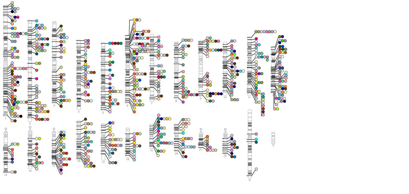 그림 6. 전장유전체연관연구 (GWAS)에서 강한 연관성 (p≤10-8)을 보인 148개 형질과 그 연관 유전자의 염색체상 위치