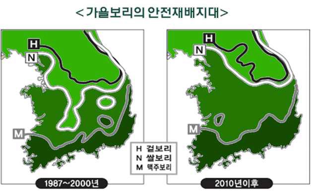 그림 3-77. 가을보리의 안전재배지대