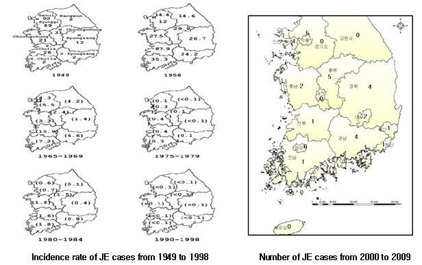 우리나라에서 발생된 일본뇌염 환자들의 지리적 분포