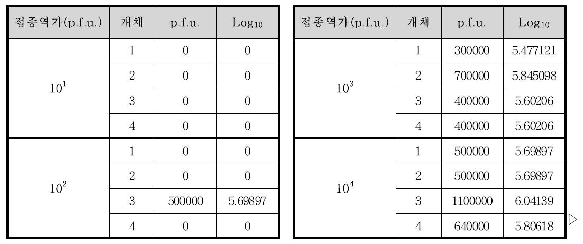 접종 후 3일째의 폐에서의 신종 인플루엔자바이러스 역가