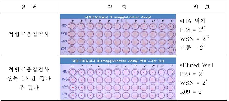 적혈구응집반응과 NA 유전자의 역할