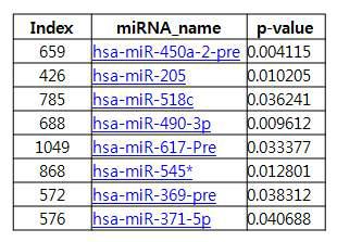 신종 인플루엔자바이러스에 의해 발현이 촉진된 MicroRNAs