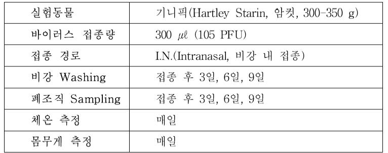 기니픽을 이용한 접촉전파 실험 방법