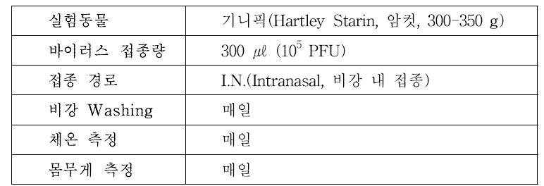 기니픽을 이용한 접촉전파 2차 실험방법