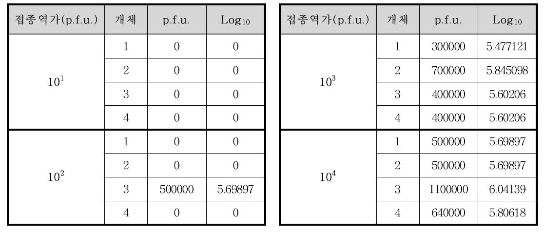 접종 후 3일째의 폐에서의 신종 인플루엔자바이러스 역가