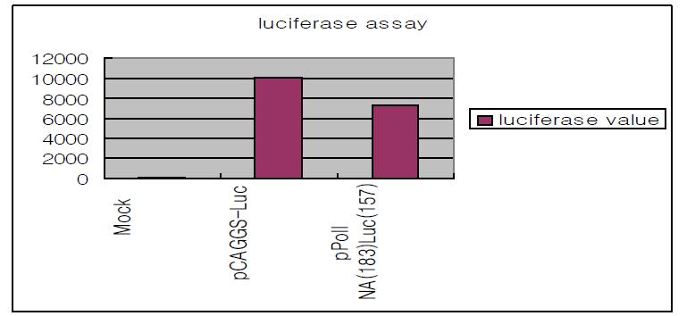 Luciferase assay 결과