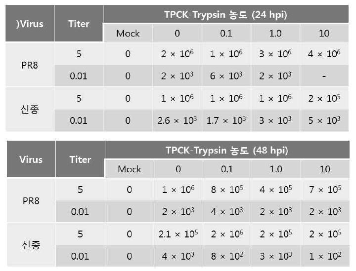A549 cells에서의 바이러스 역가