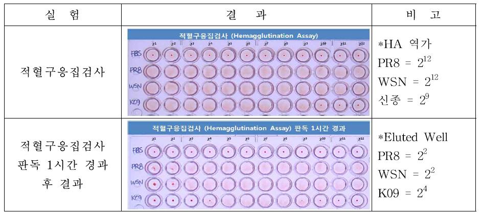 적혈구응집반응과 NA 유전자의 역할