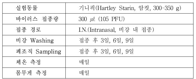 기니픽을 이용한 접촉전파 실험 방법