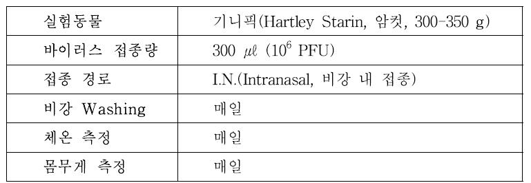 기니픽을 이용한 공기전파 감염을 위한 실험방법