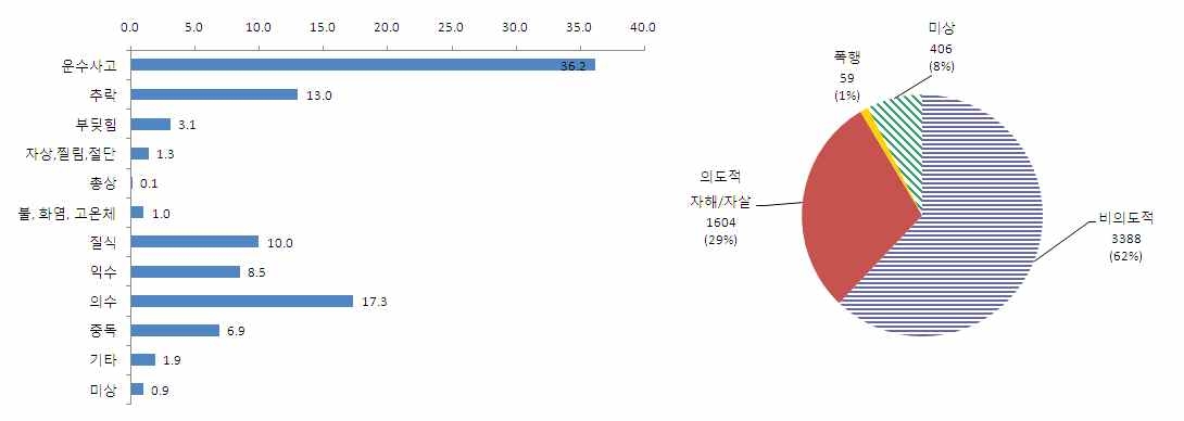 Figure 38. 질병외 손상기전 및 의도성 분포