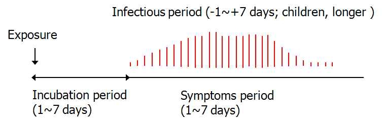 Figure 1. Incubation, infectious and symptomatic periods of Pandemic infectious and symptomatic periods of PandemicInfluenza A
