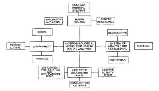 보건정책 분석을 위한 역학적 모델 (Dever, 1991)