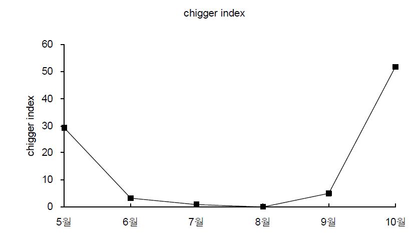 The chigger index in Jeju island