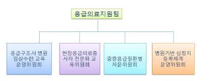 (Figure 18) 중앙응급의료팀 조직도