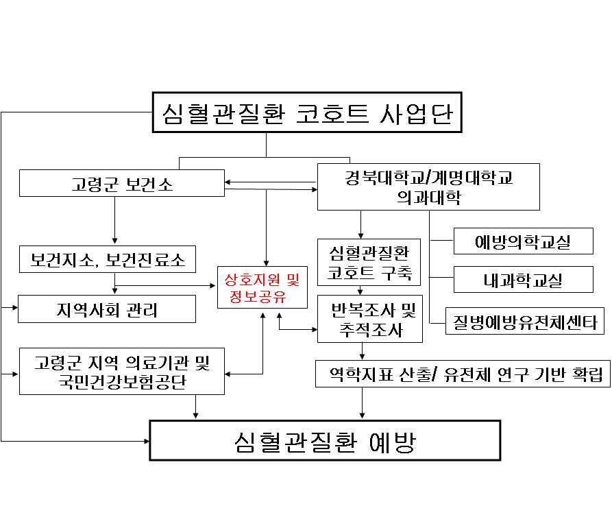 제 3 세부과제 (고령)의 연구수행체계