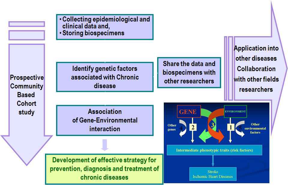 심혈관질환과 호흡기질환 등의 만성질환의 유전 요인 구명과 다른질환 연구에의 활용 전략