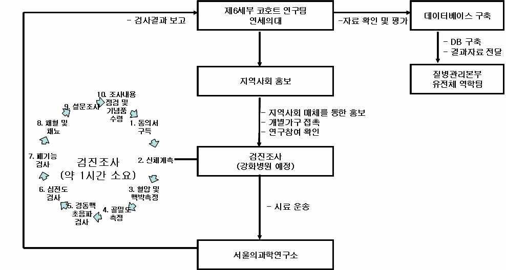 농촌 지역사회 기반 다기관 코호트 사업 제6세부 연구수행체계(2010)