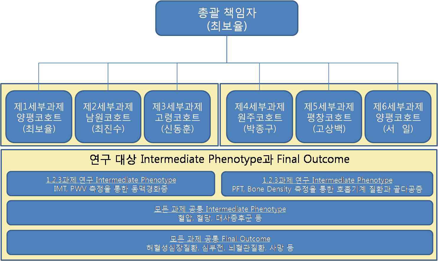 총괄 연구목표와 연구 수행 조직도