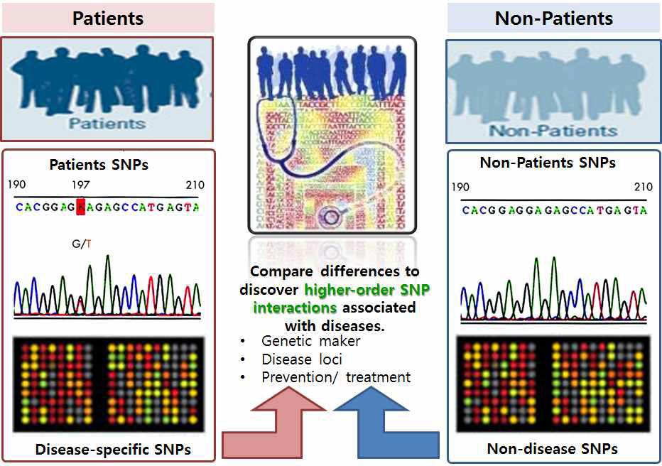 대규모 전유전체 연관성 연구(GWAS: Genome-Wide Association Study)의 필요성