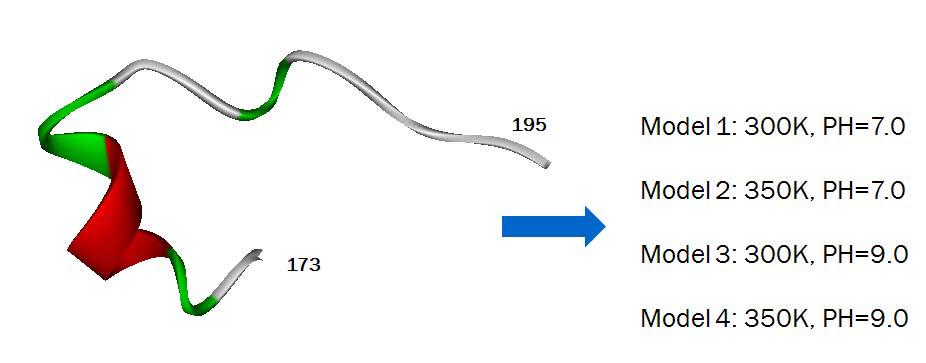 PrP[173-195]에 대한 4가지 모델의 종류