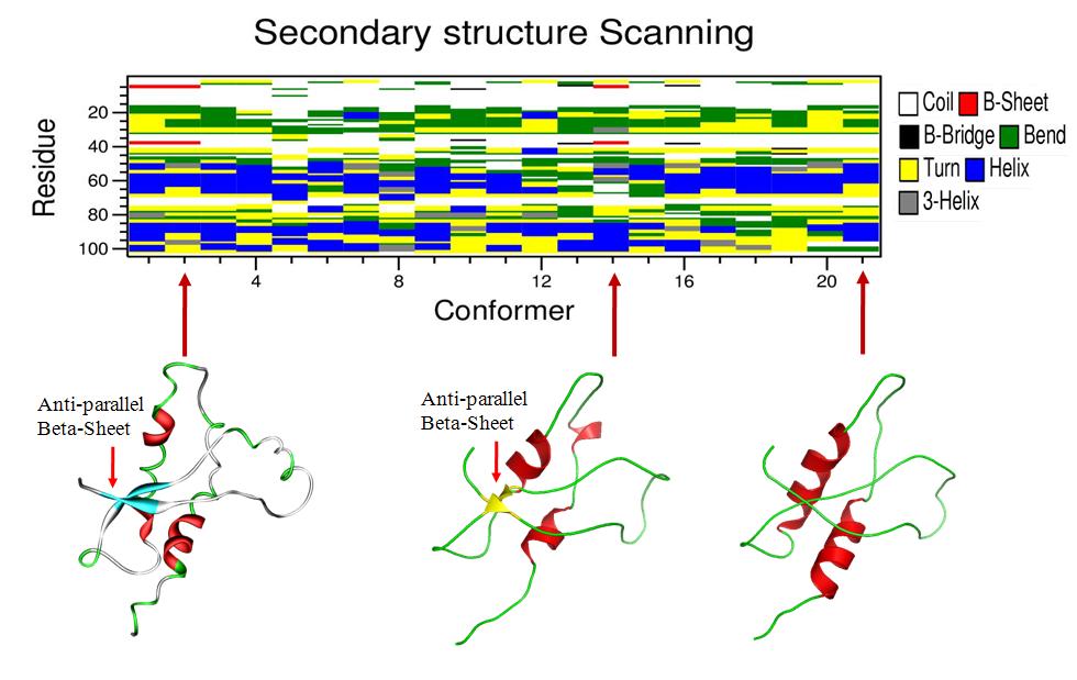 변성프리온 단백질의 구조 스페이스 탐색법에 따른 구조 변화