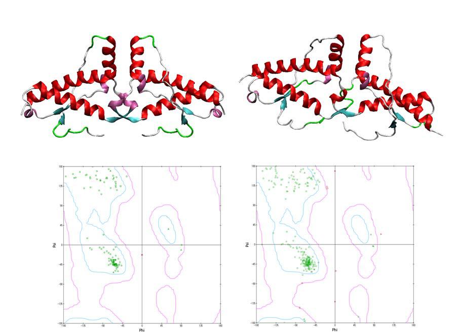 초기구조와 마지막구조에 대한 Ramachandran plot.