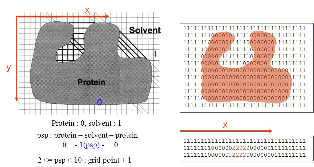 단백질의 결합부위를 결정하기 위한 격자표현과 각 격자점 값의 표현