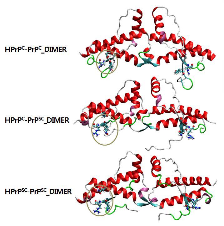 (a) Tyr128-Asp178, Arg164-Asp178상호작용, (b) Sinlge Mutant Tyr128-Asn178, Arg164-Asn178상호작용, (c) Double Mutant Tyr128-Asn178, Arg164-Asn178상호작용