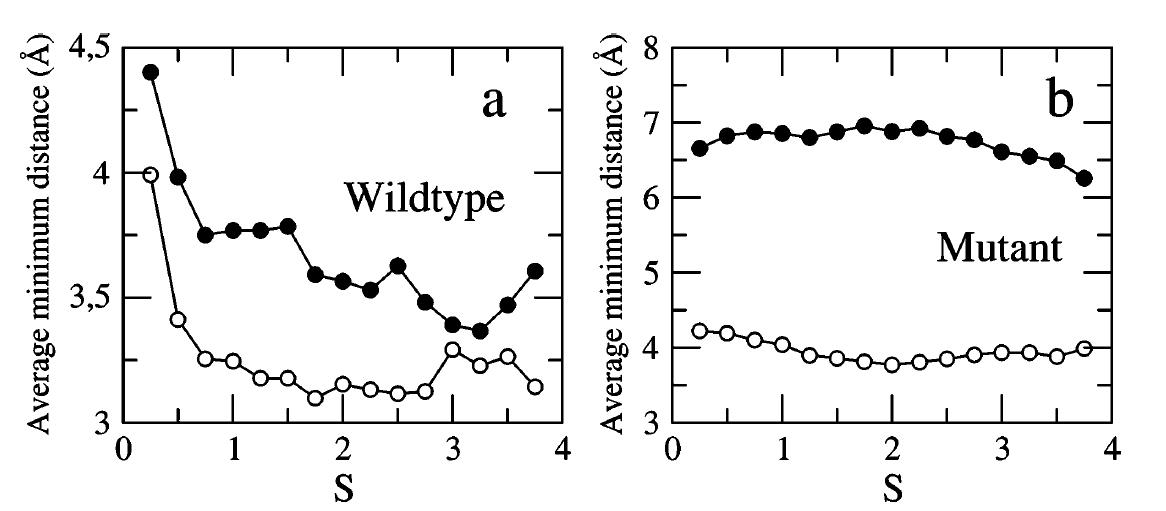 시간에 따른 (a) Wiild type의 Tyr128-Asp178, Arg164-Asp178 상호작용 거리의 변화, (b) Mutant인 Tyr128-Asn178, Arg164-Asn178상호작용 거리의 변화