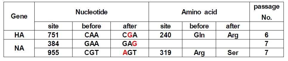 20회 계대배양 후 HA와 NA 항원유전자의 변이 비교도