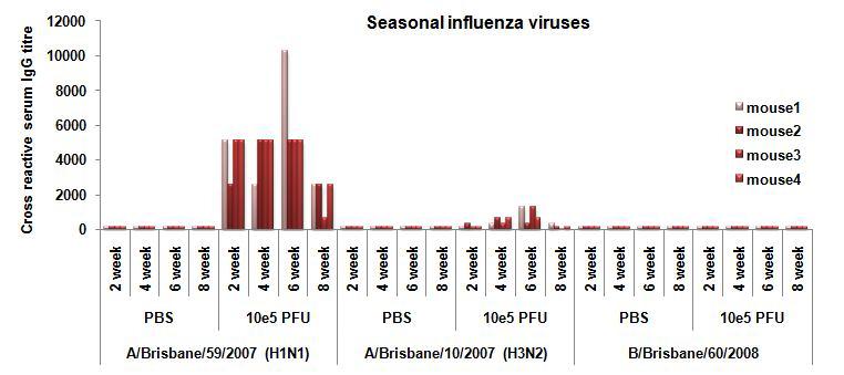 Cross-reactive serum IgG antibody titer against seasonal influenza