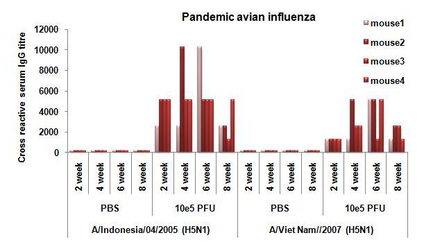 Cross-reactive serum IgG antibody titer against pandemic influenza