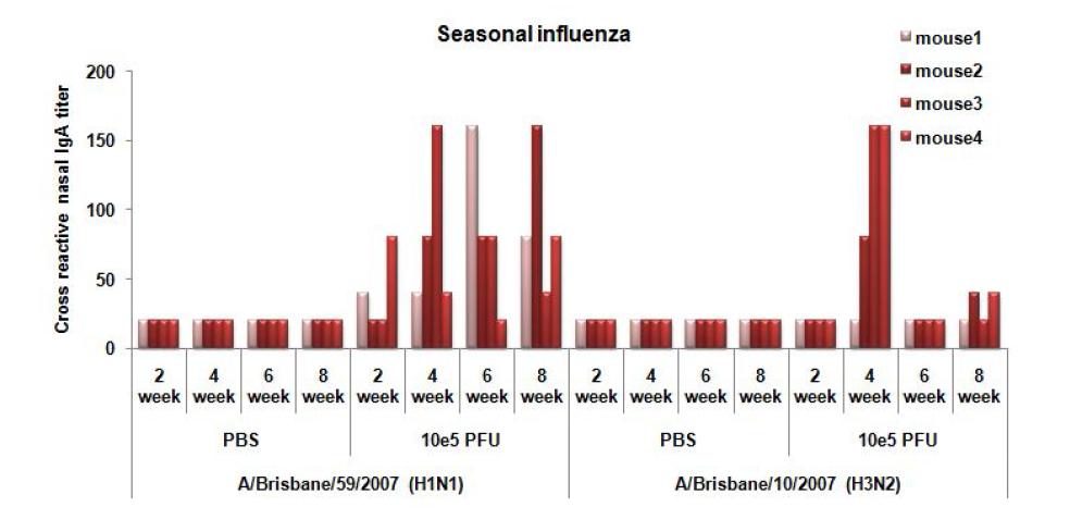 Cross-reactive nasal wash IgA antibody titer against seasonal influenza