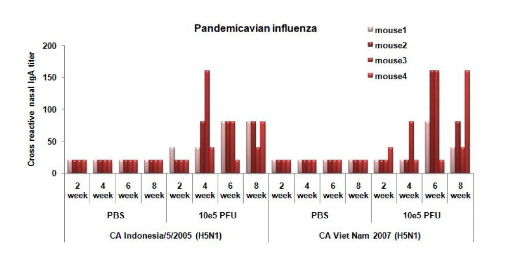 Cross-reactive nasal wash IgA antibody titer against pandemic influenza