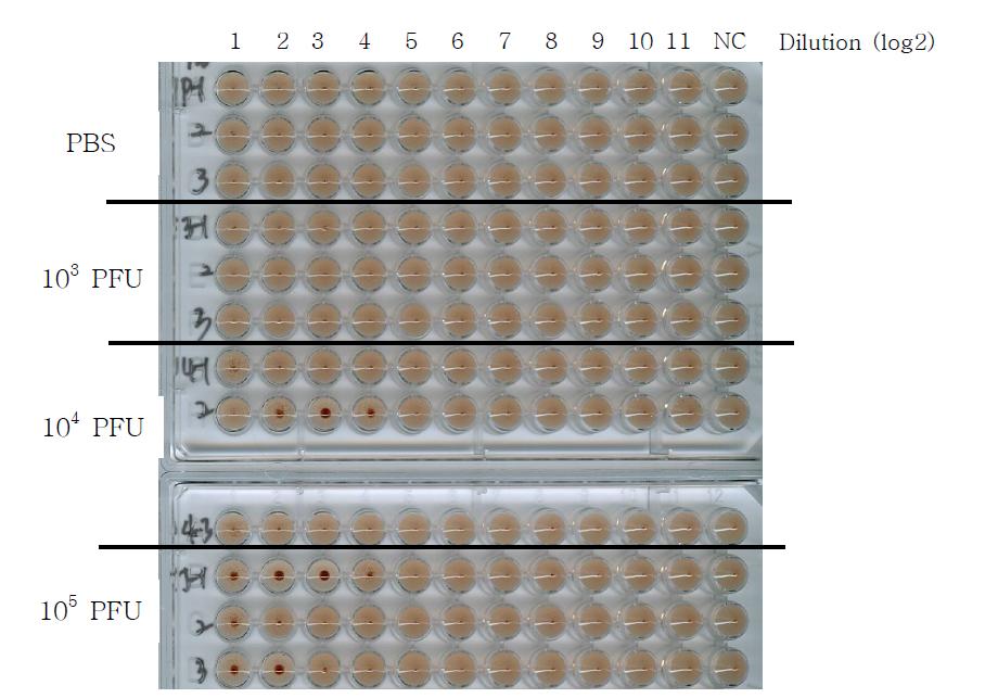 Serum HI assay (1 week)