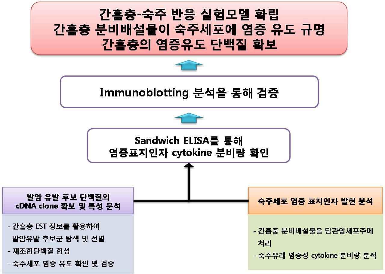 Flowchart of the project