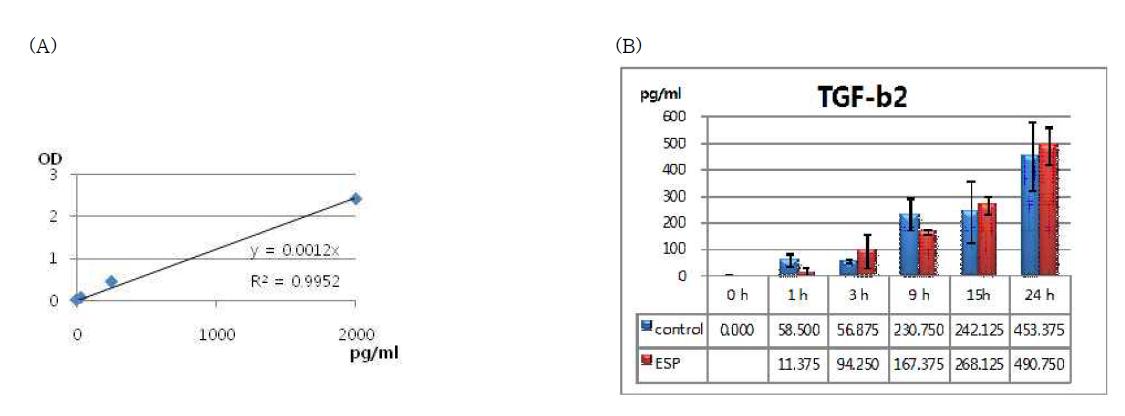 Production of TGF-beta2 from the Cs-ESP treated HuCCT1 cell-line cells. (A) standard curve of TGF-beta2. Cytokine production is depicted by amount (B).