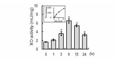 Activation of xanthine oxidase in ESP treated cells detected by Xanthine oxidase assay kit.