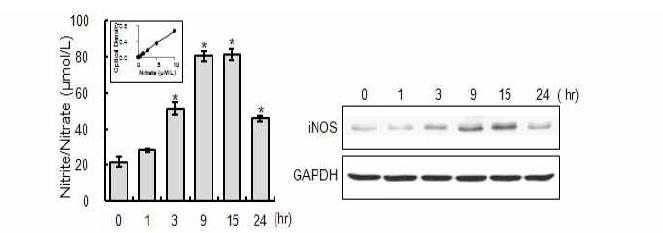 Activation of iNOS in ESP treated cells detected by immunoblot analysis and nitric oxidase assay kit.