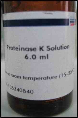 Proteinase K