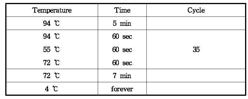 1차 Test PCR condition