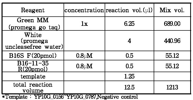 2차 test PCR buffer 조성