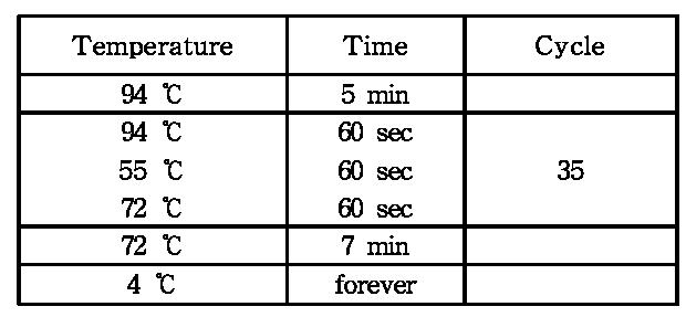 2차 test PCR condition