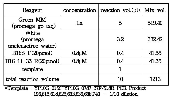 3차 Test PCR buffer 조성