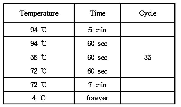 3차 test PCR condition