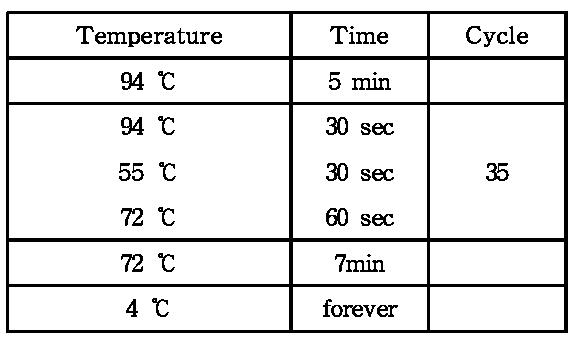 Barcode PCR Condition